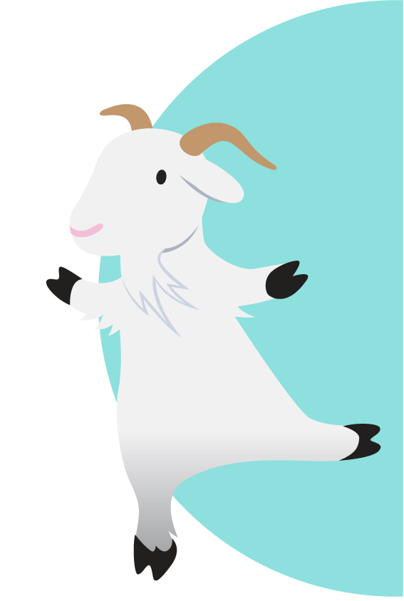CLM Implementation